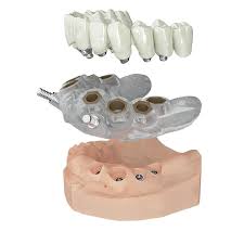 Odontoiatra